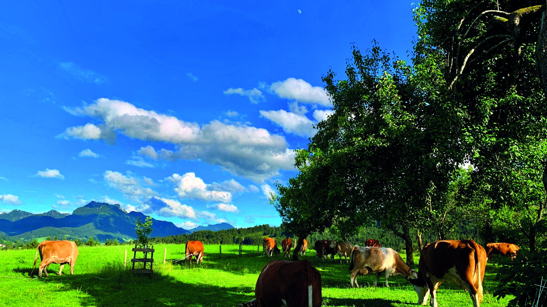 Biohof Unterstadl EKF, © Nopper Biohof Unterstadl EKF, © Nopper