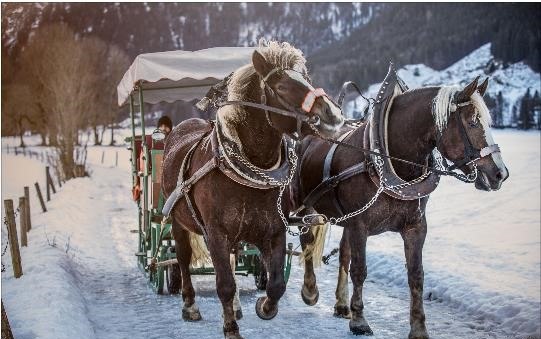 Kutschfahrt Winter