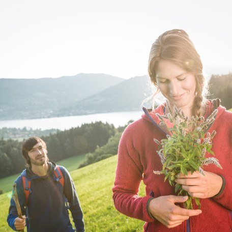 Kraeuterwanderung © Der Tegernsee_Hansi Heckmair (1), © Hansi Heckmair