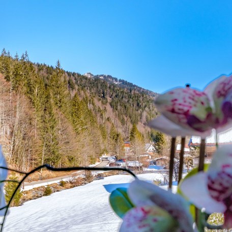 Blick aus dem Schlafzimmer - Roß- und Buchstein, © im-web.de/ Regionalentwicklung Oberland Kommunalunternehmen