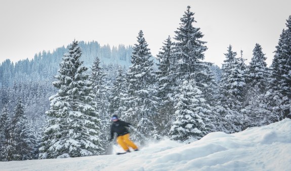 Winterstimmungen-120_DietmarDenger