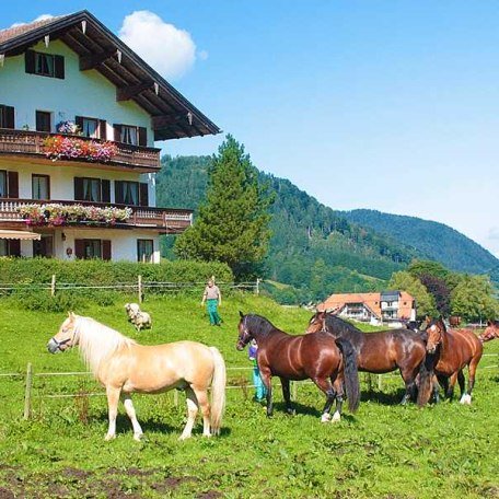 Ansicht vom Hof, © im-web.de/ Gäste-Information Schliersee in der vitalwelt schliersee