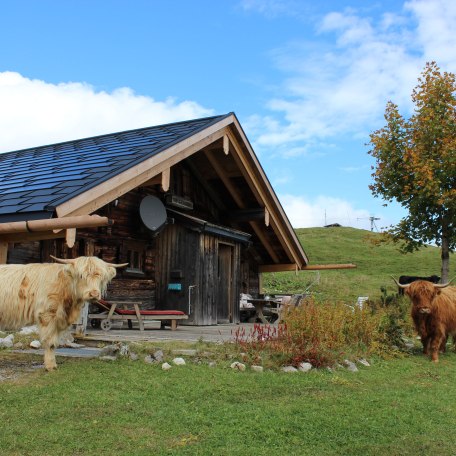 https://images.bs.ds-srv.net/objekt_pics/obj_full_150105_002.jpg, © im-web.de/ Tourist-Information Bayrischzell