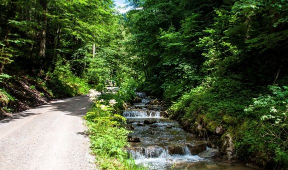 TTT_0720_SZM_Aktiv_Alpbachtal_Tegernsee-0001 2, © Der Tegernsee (Sabine Ziegler Musiol)