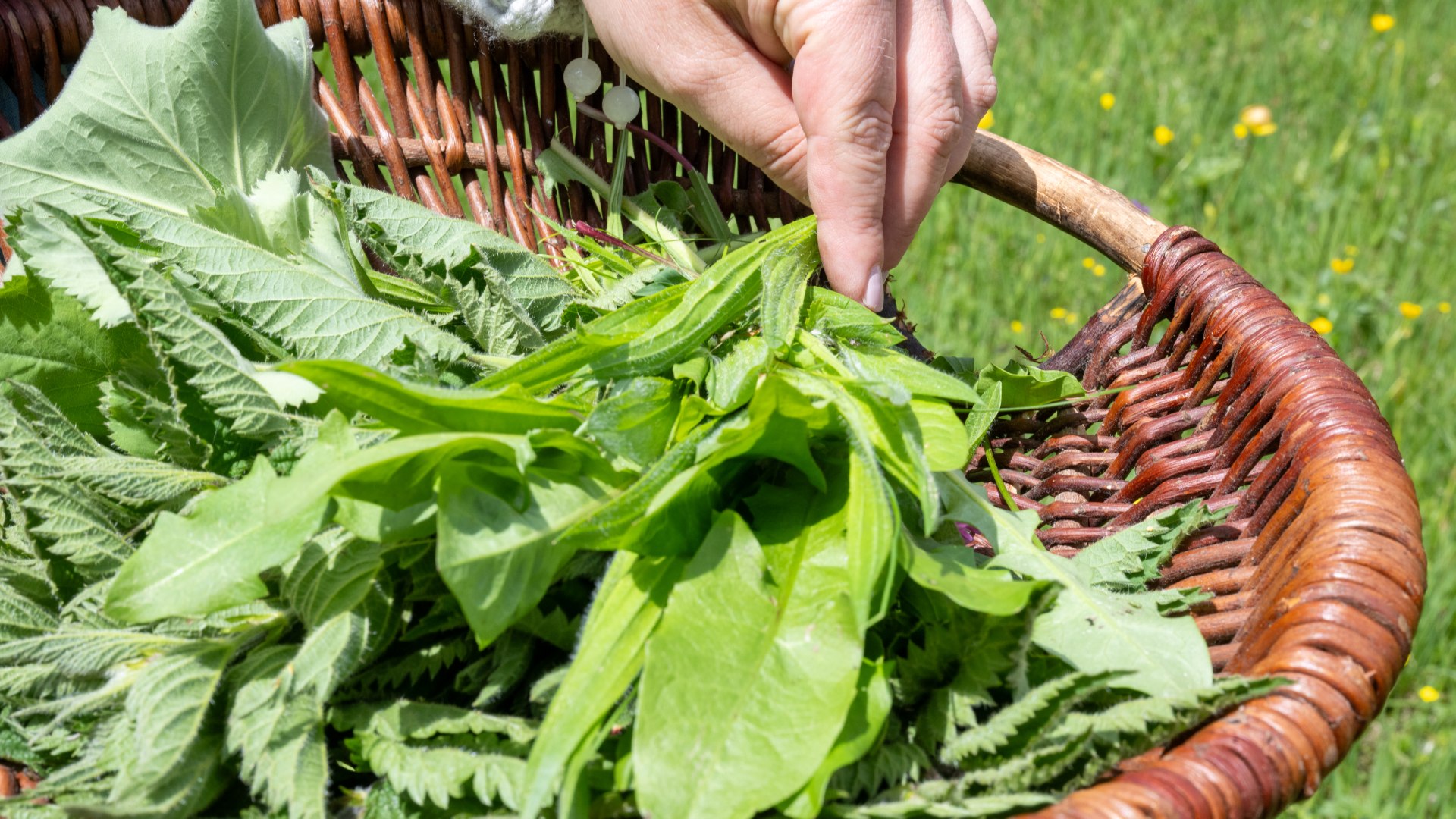 TTT_0624_TP_TegernseeTalk_Superfood_0031, &copy; TTT-Plettenberg