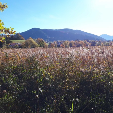 Gmund hat viel naturbelassene Uferregion, © im-web.de/ Tourist-Information Gmund am Tegernsee