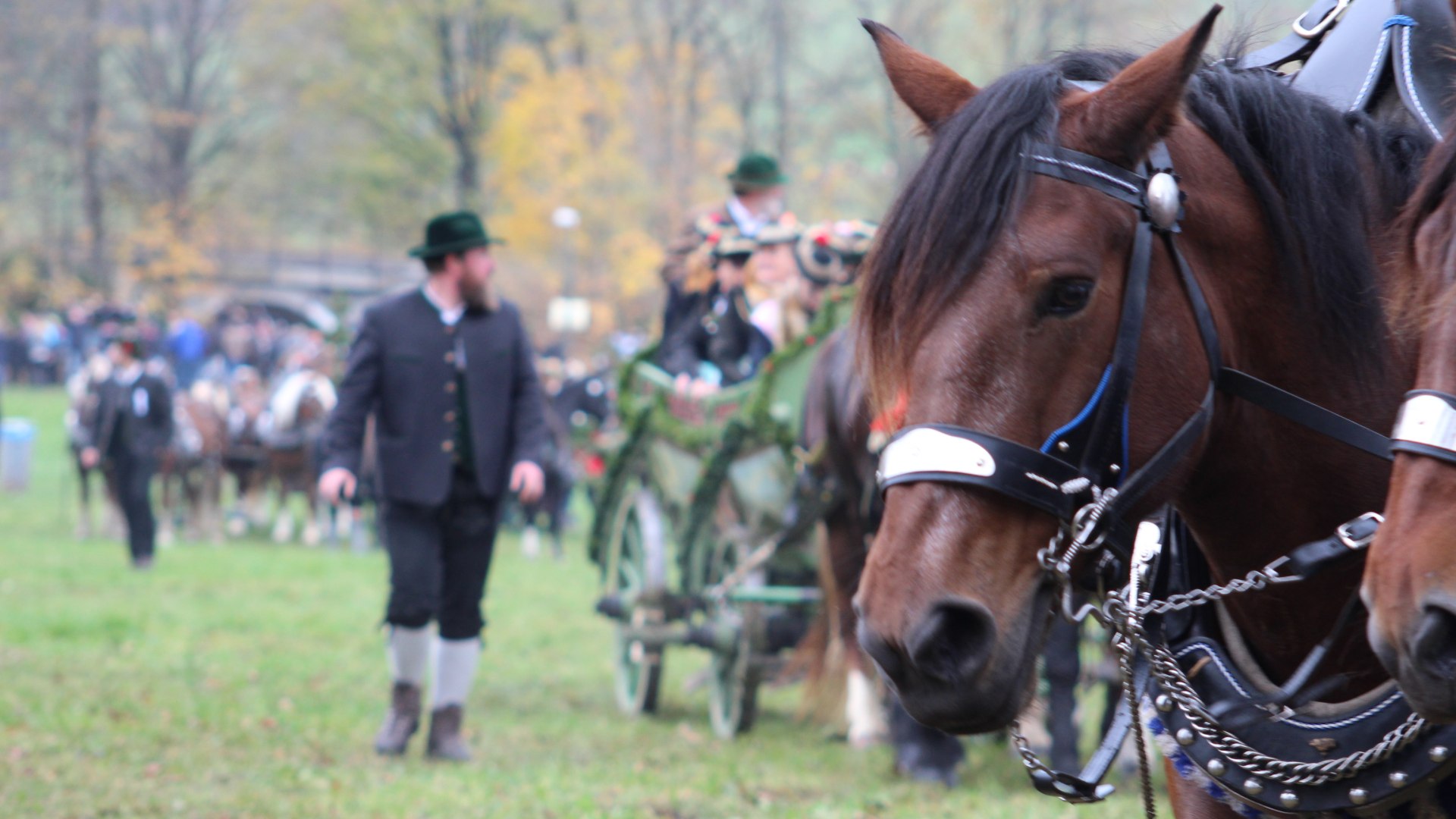 Leonhardi_2018 (c) Katharina Ausfelder, © Katharina Ausfelder