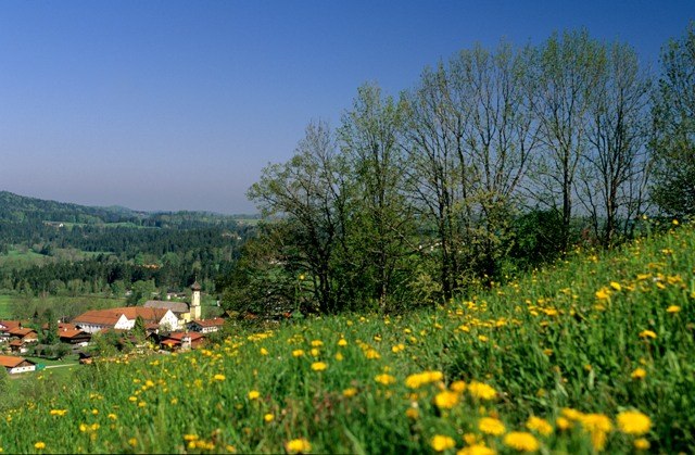 fischbachau-fruehlingalpenregion-0505-13