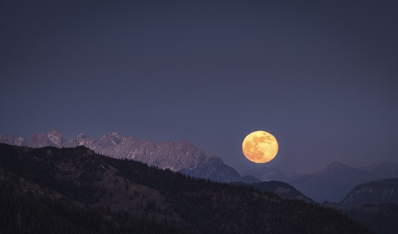 fruehling-shooting-2020-lowres_dietmar-denger-55, &copy; Dietmar Denger