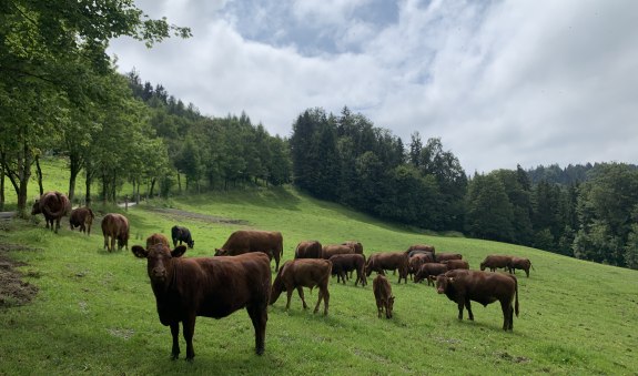 Gut Engelsberg EKF Gut Engelsberg EKF