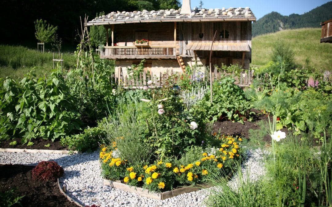 Wasmeier_Bauerntage2025