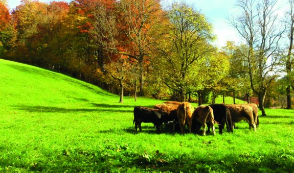 Biohof Sonnenstatter EKF