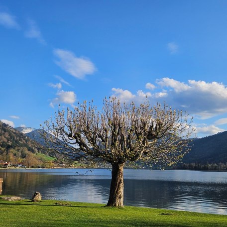 Seetraum mit Bergblick, &copy; im-web.de/ G&auml;ste-Information Schliersee in der vitalwelt schliersee