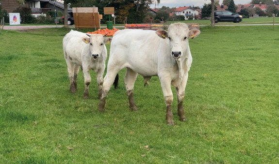 Lukasschusterhof EKF