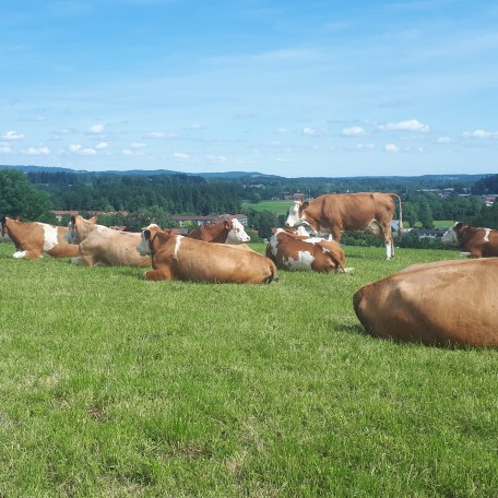 Heiß am Rain EKF Heiß am Rain EKF