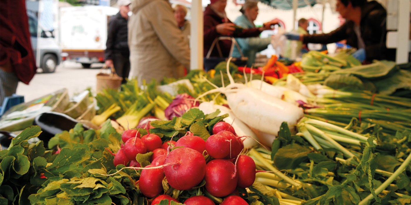 Gmunder Wochen- und Bauernmarkt EKF