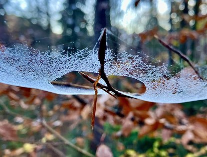 Selbsthilfe Passiert dies wirklich von selbst