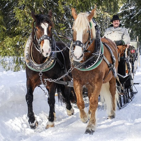 fischerwebers_pferdekutschenfahrten_bo fischerwebers_pferdekutschenfahrten_bo
