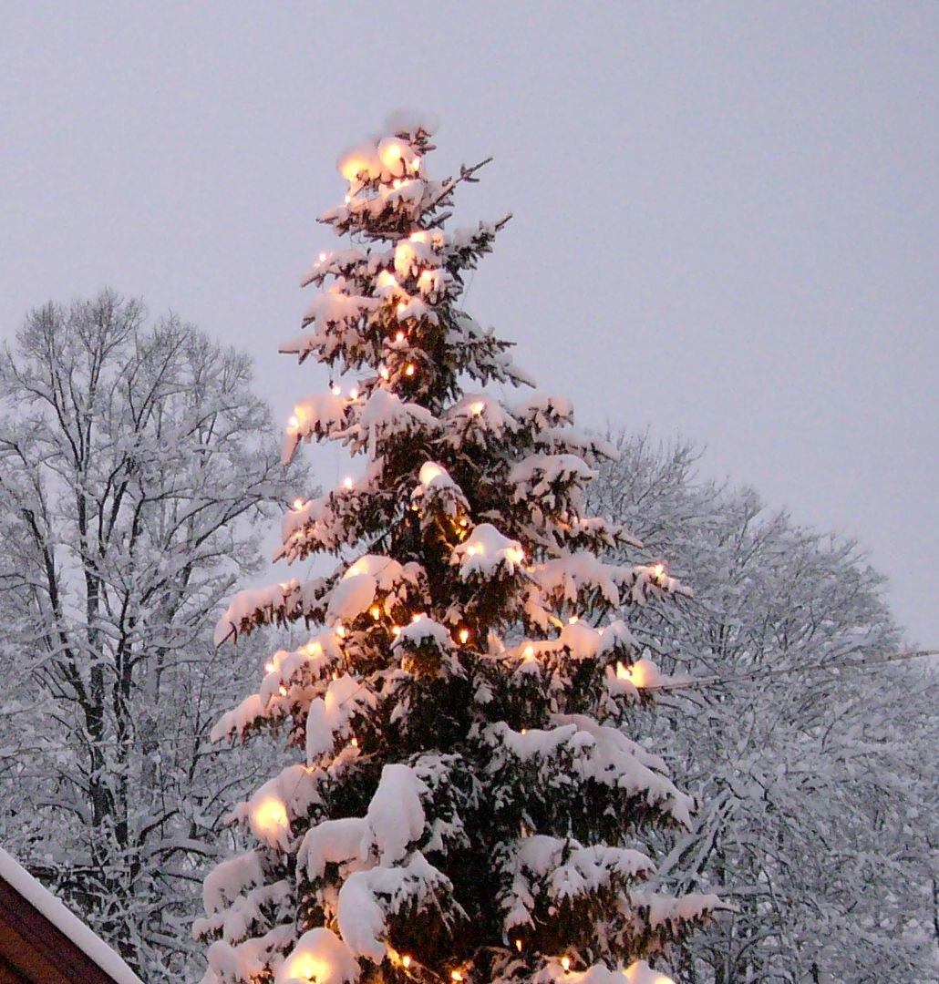 mbwinter457stadtmiesbach