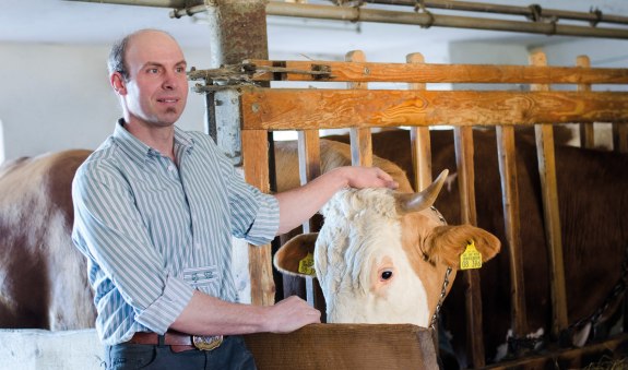 Birknerhof EKF Birknerhof EKF