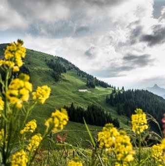 Blick zum Setzberg, © Der Tegernsee