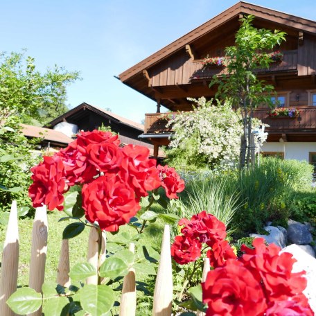 Sommerfrische wie aus dem Bilderbuch. Wenn die Rosen blühen und die Sonne das Holz wärmt, zeigt sich unser Garten von seiner schönsten Seite. Sichern Sie sich Ihre Ferienwohnung für die perfekte Sommer-Auszeit!, © im-web.de/ Gäste-Information Schliersee in der vitalwelt schliersee Sommerfrische wie aus dem Bilderbuch. Wenn die Rosen blühen und die Sonne das Holz wärmt, zeigt sich unser Garten von seiner schönsten Seite. Sichern Sie sich Ihre Ferienwohnung für die perfekte Sommer-Auszeit!, © im-web.de/ Gäste-Information Schliersee in der vitalwelt schliersee