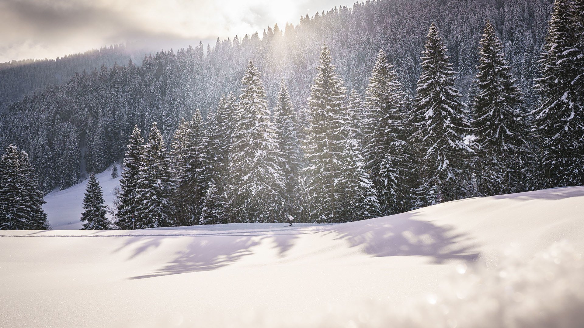 Winterstimmung Bayern, © Dietmar Denger