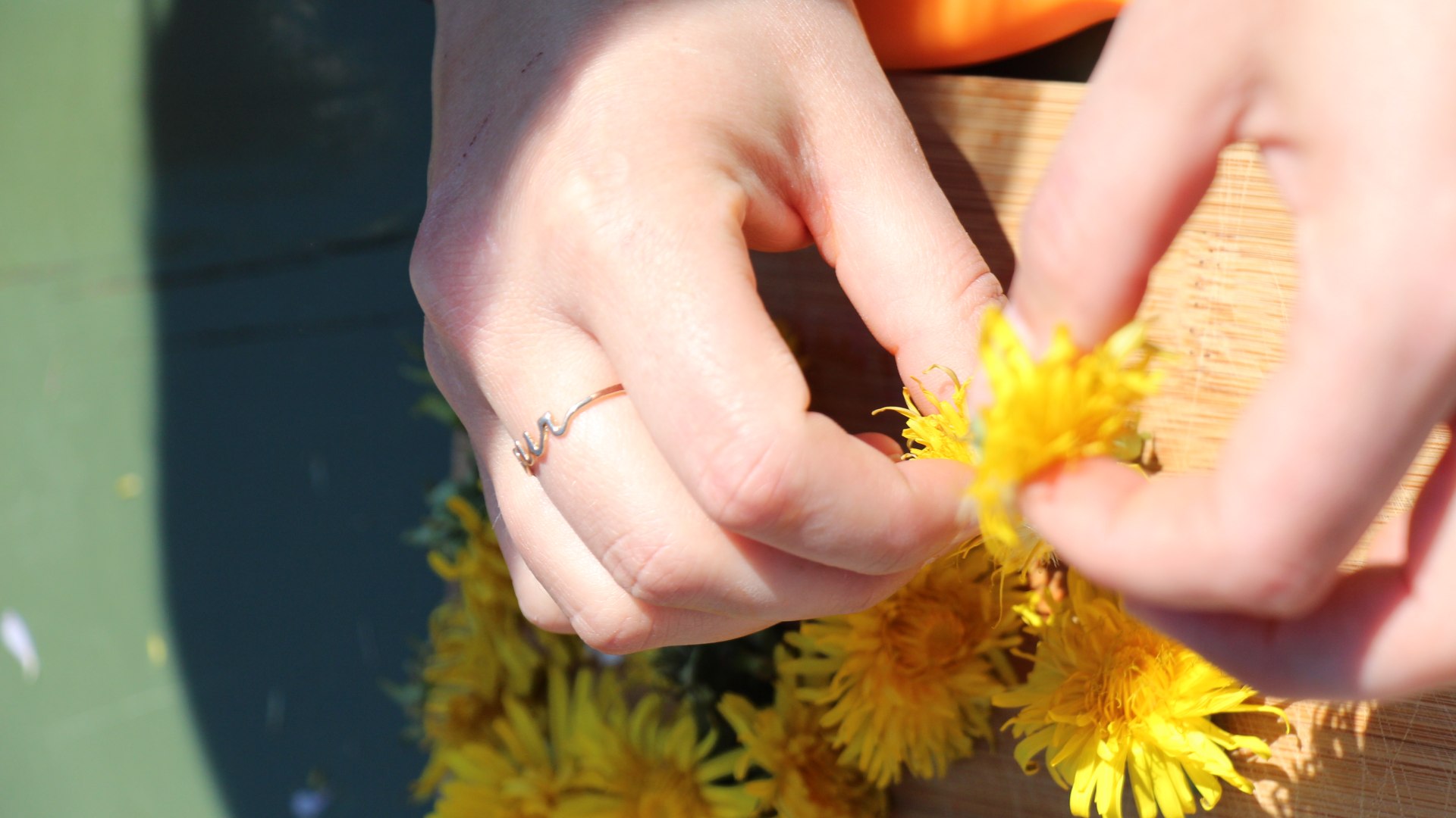 Kräuterpädagogen Löwenzahnhonig_C_Menke Kräuterpädagogen Löwenzahnhonig_C_Menke