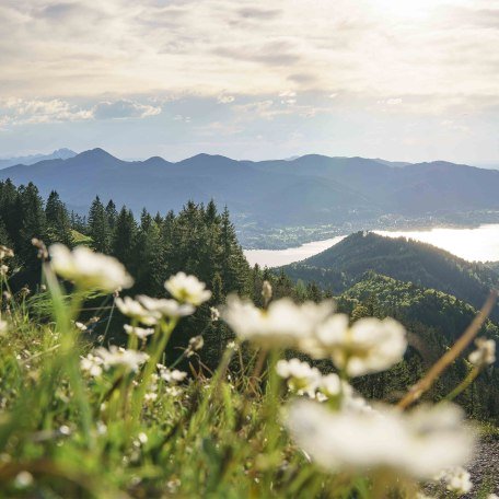 Die Aussicht auf den Tegernsee am Abend, © Dietmar Denger