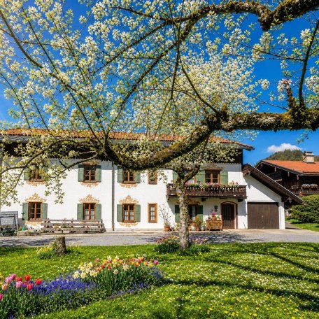 https://images.bs.ds-srv.net/objekt_pics/obj_full_28178_030.jpg, &copy; im-web.de/ Kur- und Tourist-Info Bayrischzell