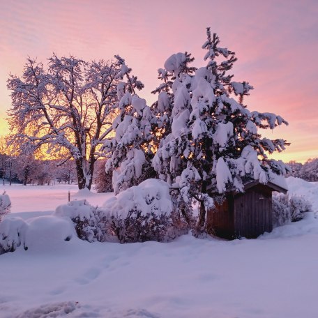 Biohof Oberlinner im Winter, &copy; Biohof Oberlinner GbR