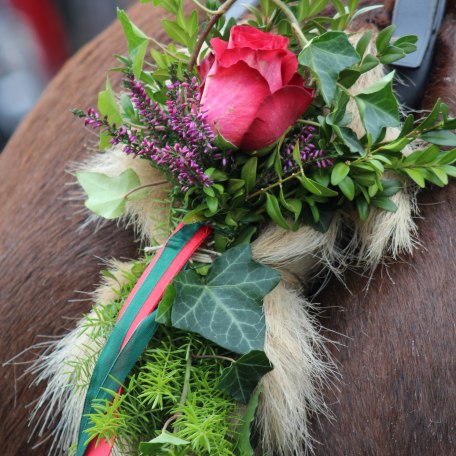 Leonhardi_2018_2 (c) Katharina Ausfelder, © Katharina Ausfelder