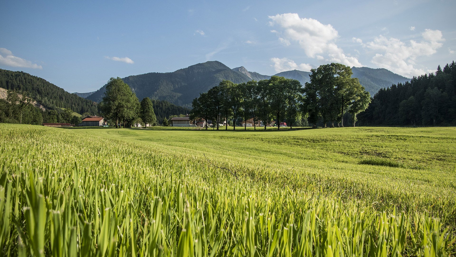 Kräuterdorf Fischbachau Bayern, © Florian Liebenstein