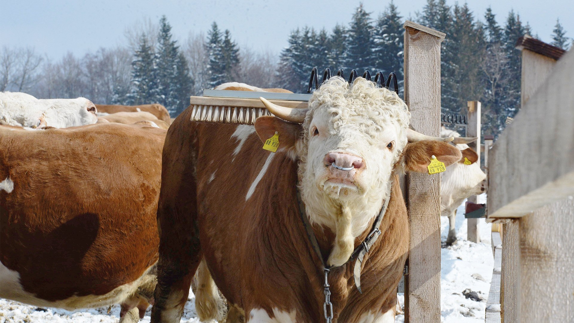 Biohof Beim Maner EKF