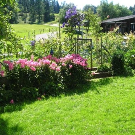 unberührte Natur entdecken, © im-web.de/ Tourist-Information Gmund am Tegernsee