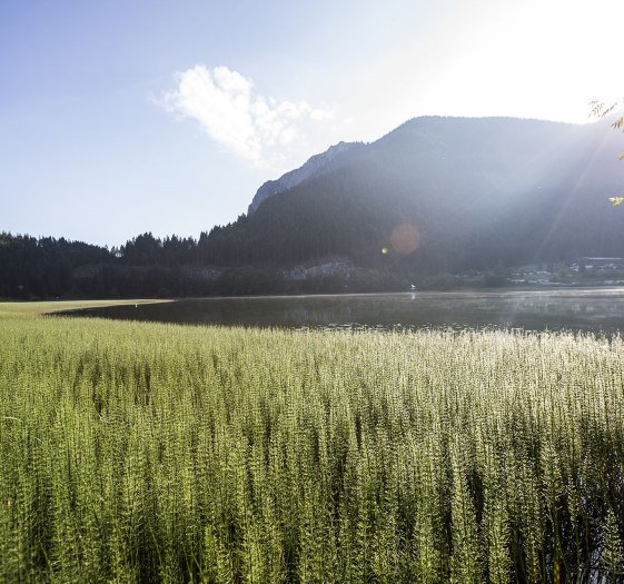 Landschaft Spitzingsee, © Hansi Heckmair