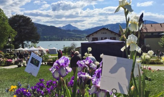 gartenblumentage2017-4