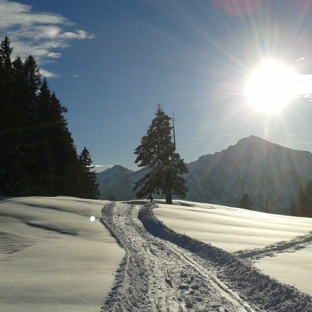 Winterwanderung , Wahlmoos, Weg zur Aueralm, &copy; im-web.de/ Tourist-Information Bad Wiessee
