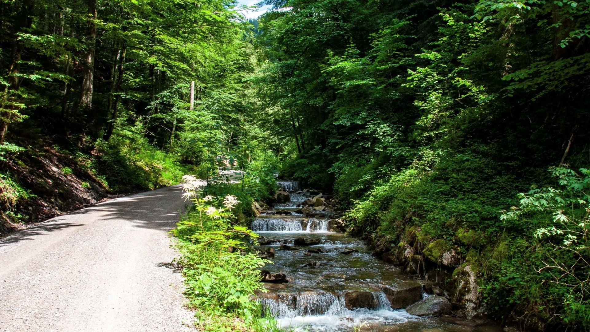 aktiv-alpbachtal-tegernsee, &copy; TTT
