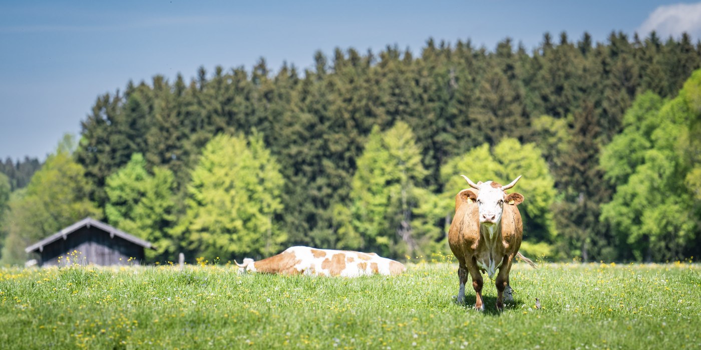 Metzgerei EKF, © Dietmar Denger