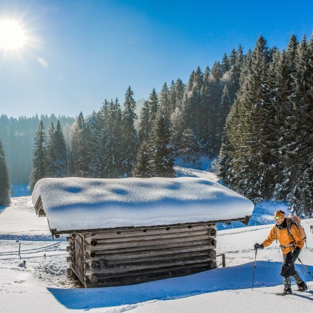 THF_PRESSE_Schneeschuhwanderung © Der Tegernsee_Christoph Schempershofe_0034 THF_PRESSE_Schneeschuhwanderung © Der Tegernsee_Christoph Schempershofe_0034