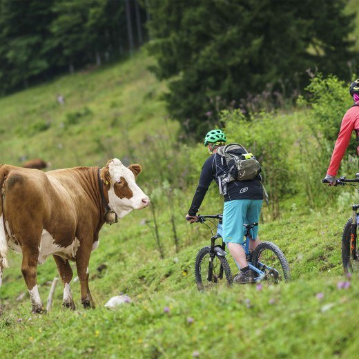 MTB Alm Radtour, © Dietmar Denger