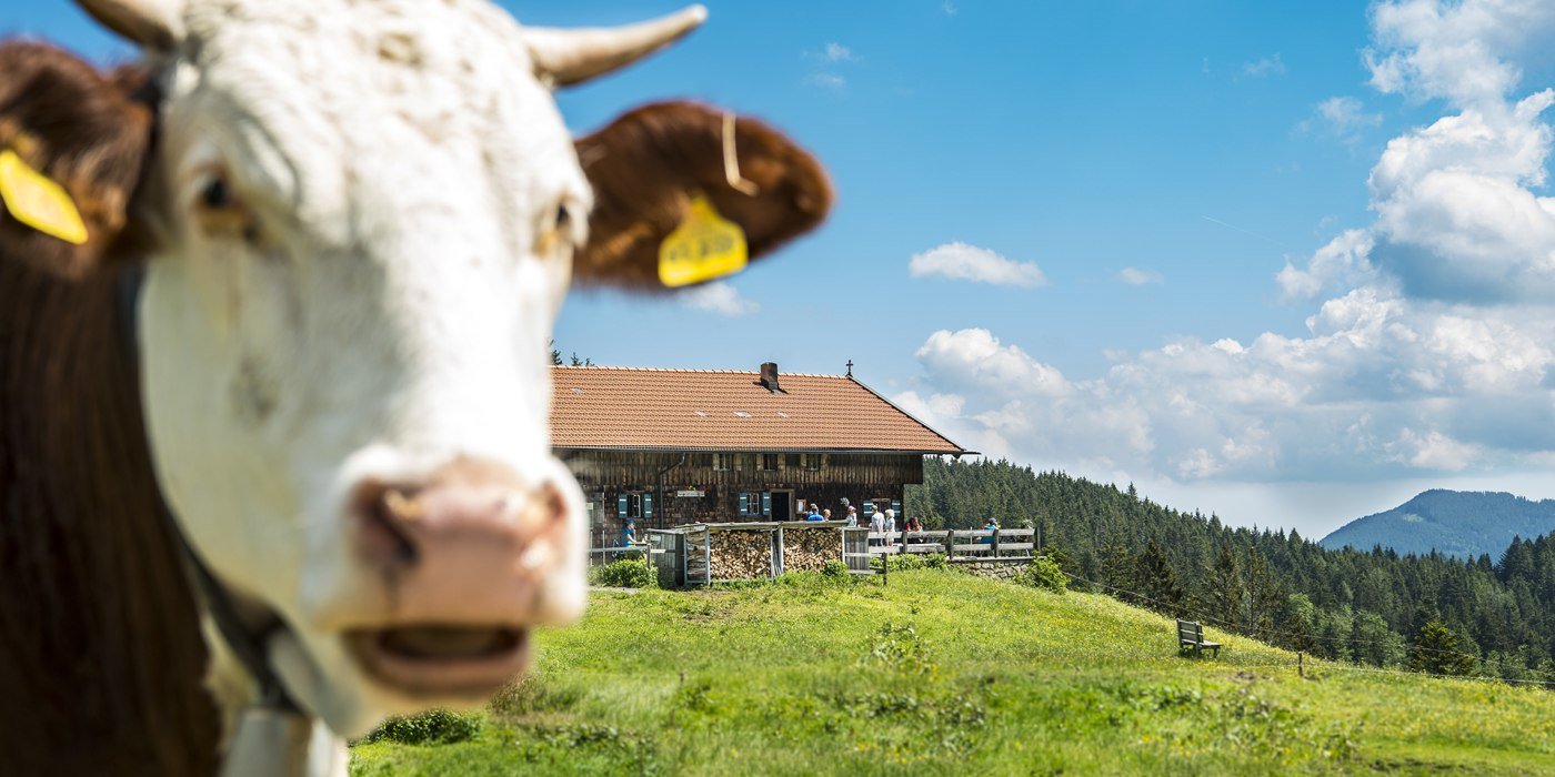 Almen rund um Tegernsee und Schliersee laden zur Rast ein, © Dietmar Denger