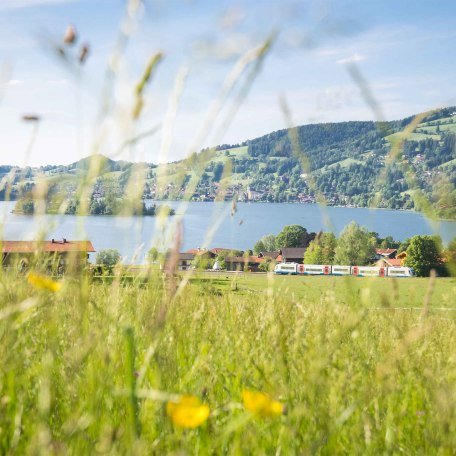 Schliersee Oberbayern, © Dietmar Denger