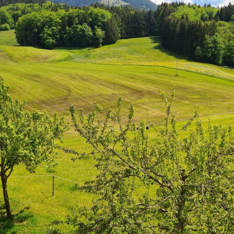 Blick von der FeWo zum Breitenstein, © im-web.de/ Touristinformation Fischbachau