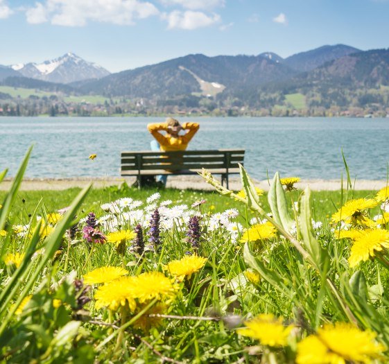 Entspannen am Tegernsee im Frühling, © Dietmar Denger