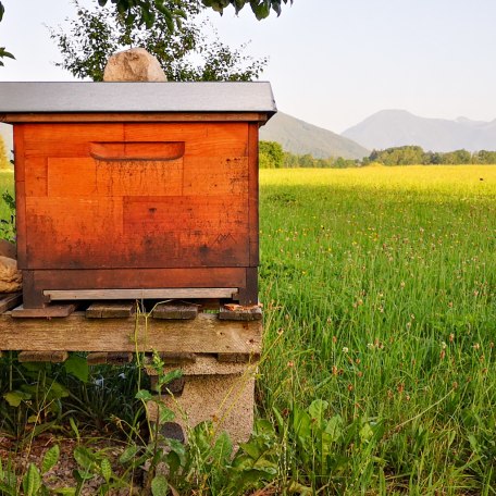 Lehrbienenstand_Gmund_3, &copy; DER TEGERNSEE I. Munstermann