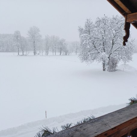 Ausblick, &copy; Biohof Oberlinner GbR