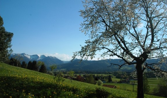 schwarzenberg