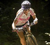 Fahrradverleih am Minigolfplatz (Verleih von Rädern aller Art) Fahrradverleih am Minigolfplatz (Verleih von Rädern aller Art)